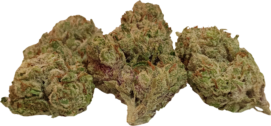 GIRL SCOUT COOKIES (HYBRID)