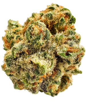GORILLA GLUE #4 ULTRA EXOTIC PREMIUM INDOOR FLOWER | ELITE HOUSE RESERVE INDICA-DOMINANT HYBRID