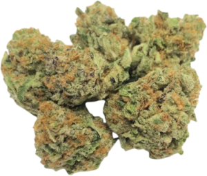 GRAPEFRUIT PIE: HYBRID-INDICA DOMINANT