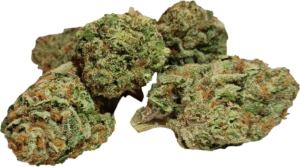 PINEAPPLE EXPRESS (HYBRID)