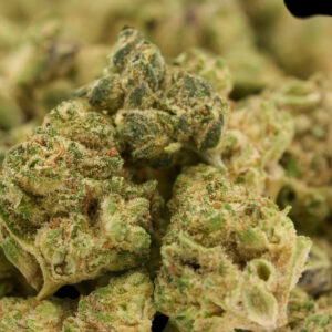 PLATINUM LGG HYBRID