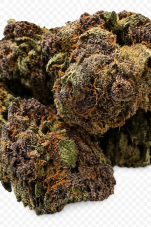 TROPICAL CHERRY (HYBRID)