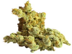 Laguna Leaf Legacy CBX Flower | Super Mango Haze Sativa