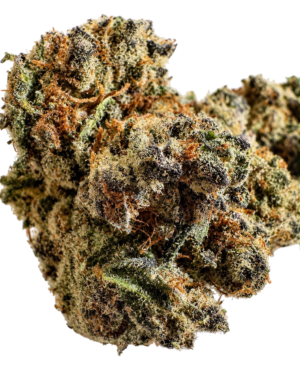 RAINBOW RUNTZ | PREMIUM INDOOR FLOWER | HYBRID